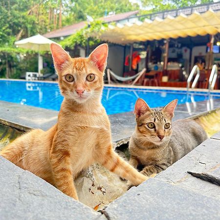 Have Fun Phu Quoc Villa Exterior foto