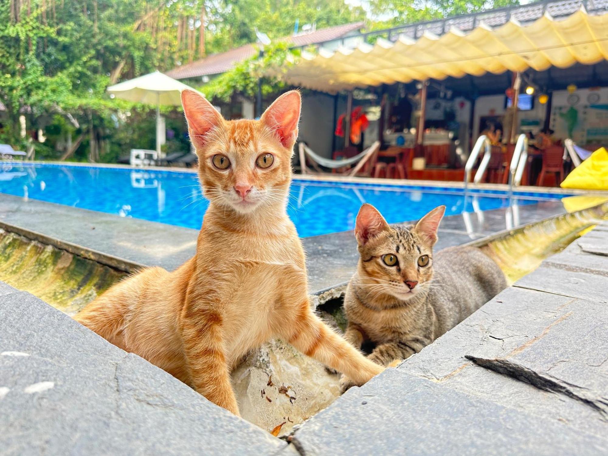 Have Fun Phu Quoc Villa Exterior foto